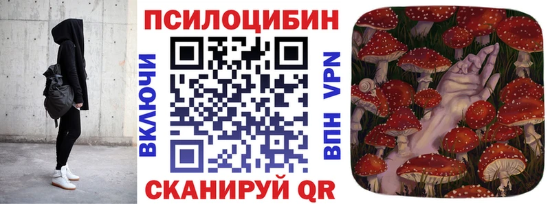 Псилоцибиновые грибы Psilocybine cubensis Менделеевск
